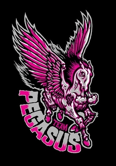 TEAM PEGASUS - Brett Peter Stenson #team #pegasus #brett #illustration #stenson #logo