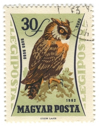 All sizes | Hungary Postage Stamp: owl | Flickr - Photo Sharing! #stamp #owl #illustration #vintage #type #typography