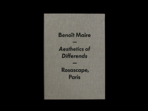 579books: Hey Ho (Julien Hourcade & Thomas Petitjean): Benoît Maire - Esthétique des différends #print
