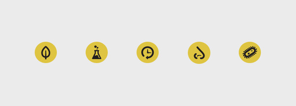 Icons.jpg