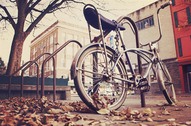 Bike park during Fall