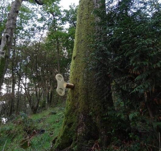 design indaba 2012: the clockwork forest by greyworld #forest #clockwork #art