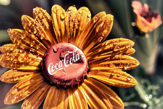 The Mexican Coca Cola Flower #type #image