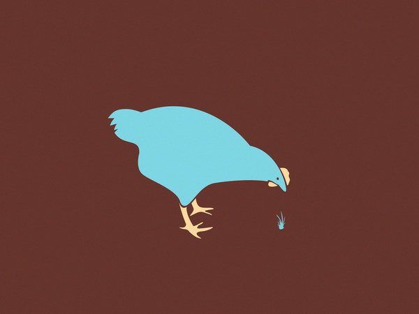 Animal doodling on Behance #colourful #yildirim #yasemin #illustration #chicken #graphics