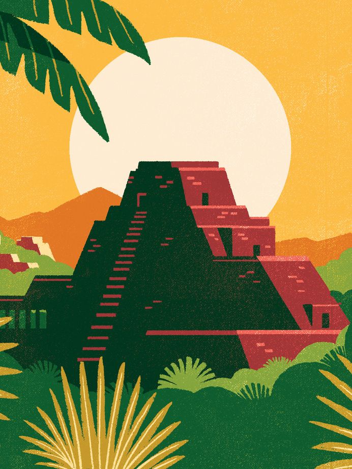 Archer Farms – COLLINS #illustration