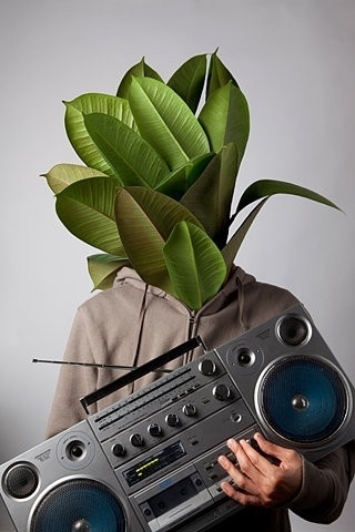 Your favorite pictures on VisualizeUs #things #foto