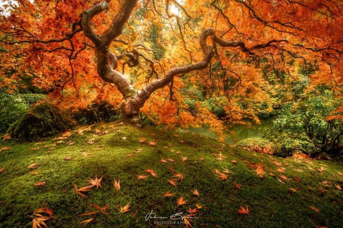 Beautiful Long Exposure Landscapes in Oregon by John Byrn