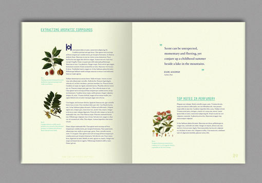 MichelleWang_ArtofScent_07 #design #graphic