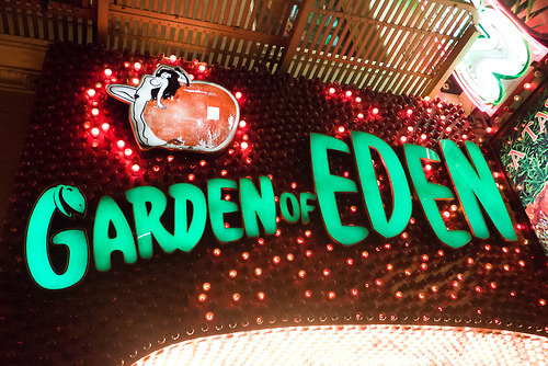 http://24.media.tumblr.com/b0a2ccc37d894eeba01449e64b985205/tumblr_mji9d7Q9pH1qa42jro1_500.jpg #lettering #sign #typography #restaraunt #neon