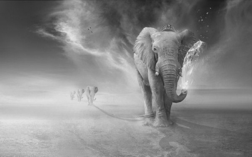 Photo Manipulations by Sulaiman Almawash #inspiration #photography #manipulations