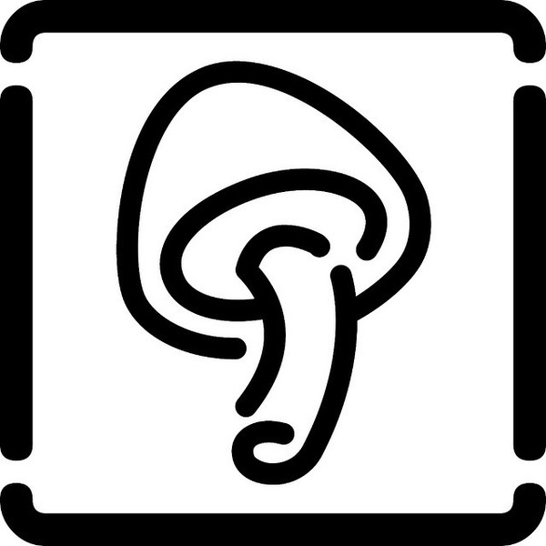 fungo, via Flickr. #iconography #icon #sign #icons #symbols #signs