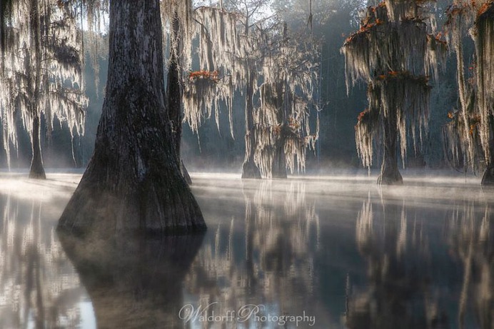 Incredible Landscape Photography in Florida by Jeff Waldorff