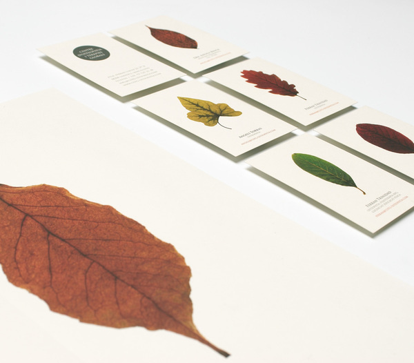 Centre d'Osteopatia i TerÃ pies Globals #terpies #logotype #estudi #i #centre #cotg #globals #dosteopatia #design #graphic #torras #conrad #barcelona #leaves