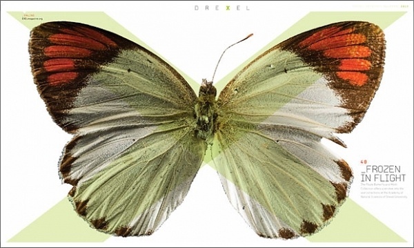 New Work: Exel, Drexel University's Research Magazine | New at Pentagram #drexel #design #butterfly #pentagram #layout