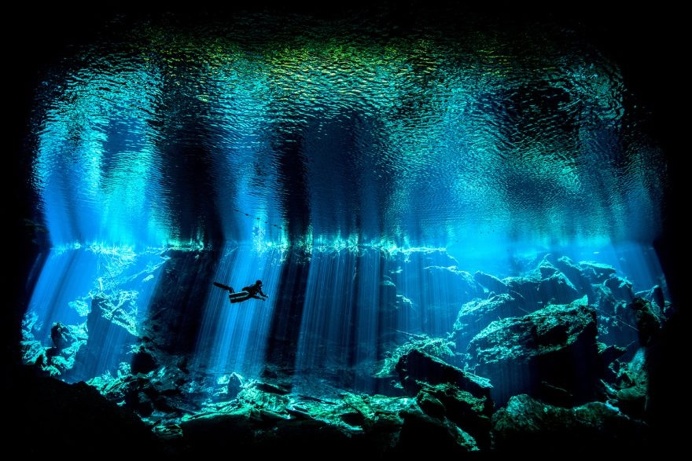 The Stunning Winners Of The 2017 Underwater Photographer Of The Year