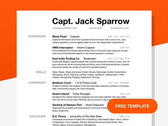 Jack Sparrow Resume - Free Simple Sketch Resume Template