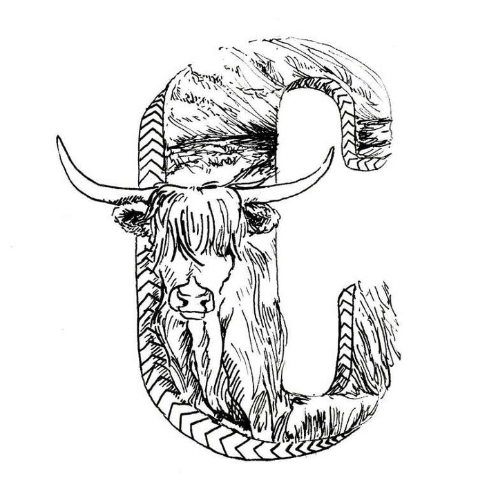 Highland Cow illustration - C #C #Alphabet #micron #letter #poster #lettering #pen #illustration #cow #highlandcow