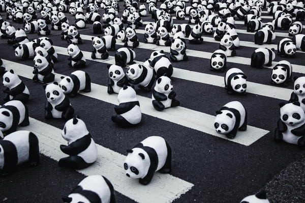 Pandas #pandas