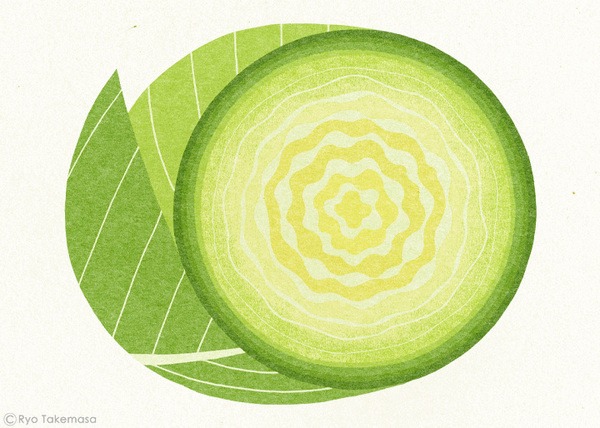 20120903020.jpg (720×514) #illustration #vegetable