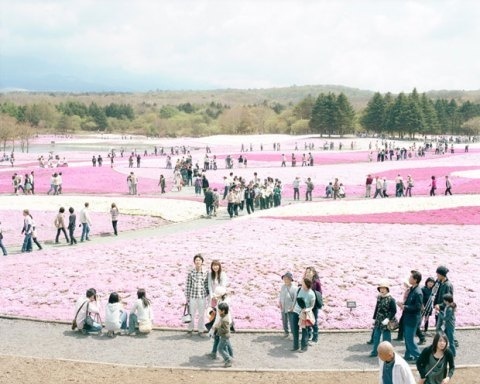Nobuto Osakabe | PICDIT