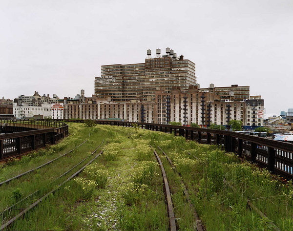 Joel Sternfeld | Friends of the High Line #line #landscape #photography #nature #york #nyc #high #new
