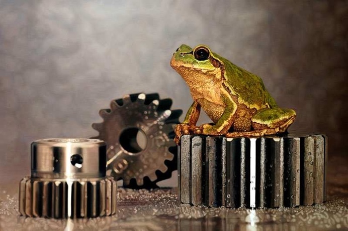 Hyperrealistic Oil Paintings by Young-Sung Kim