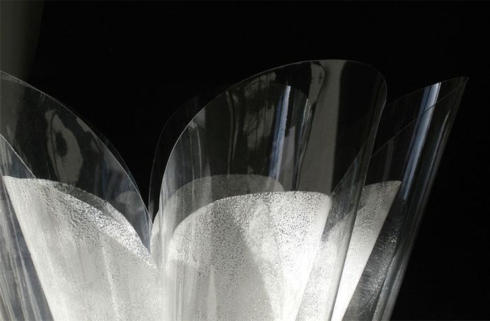 Fronds by Taeg Nishimoto - InteriorZine