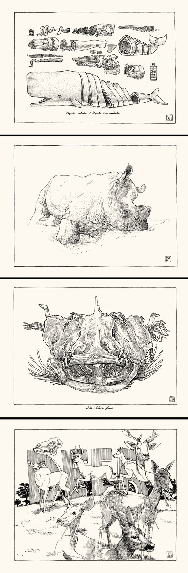 BlackYard » Sketchbook animals_2013 #blackyard #2013 #illustration #animals #pencil