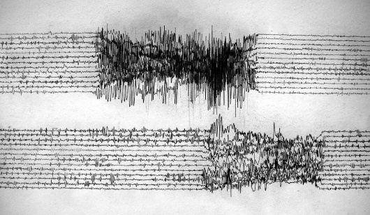 All sizes | rupture (5) | Flickr - Photo Sharing! #activity #seismographic #emma #mcnally #seismograph #rupture #drawing