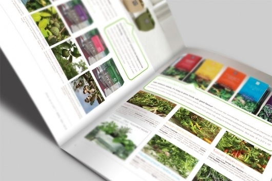 Seracon | WAHBA MEDIA | Graphic Design | Web Development | Branding #print #green #catalog #eco