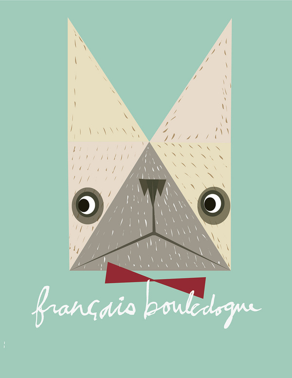 White French Bulldog in French, by Kristina Micotti #inspiration #creative #design #graphic #illustration #french #bulldog #teal #dog