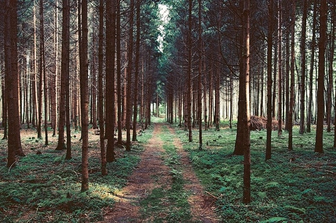 http://www.polerstuff.com/collections/adventures/products/adventure-98