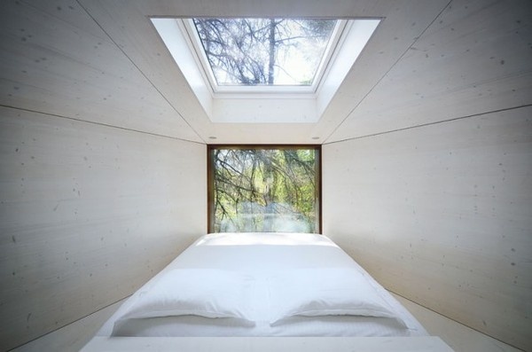 Tree Snake House4 #architecture #house #tree