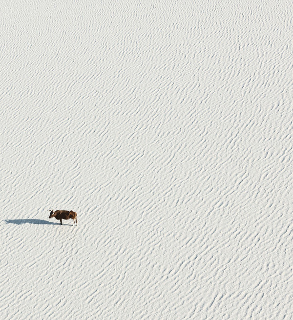 Aerial Photography by Zack Seckler #photography #aerial #landscape