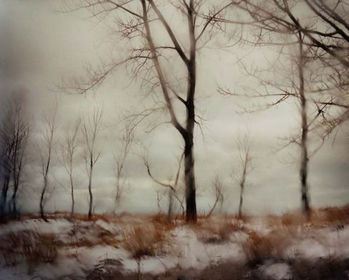 Todd Hido: Excerpts from Silver Meadows [SIGNED] #hido #todd #snow #landscape #rain #photography #trees