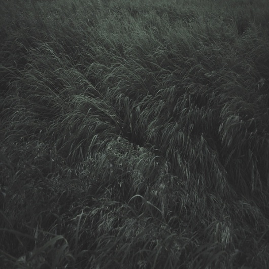 untitled on the Behance Network #photography #garmonique #landscape