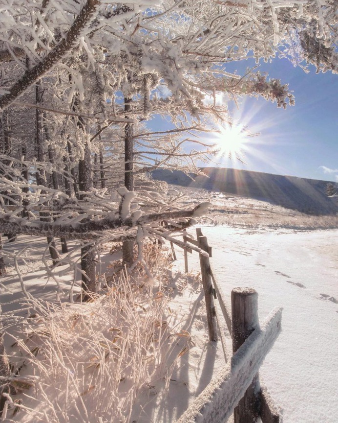 Amazing Nature Photography in Japan by Makiko Samejima