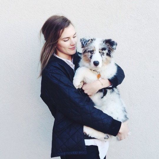inspiration, dog, girl