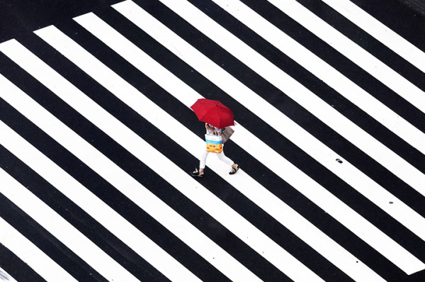 Yoshinori Mizutani | PICDIT