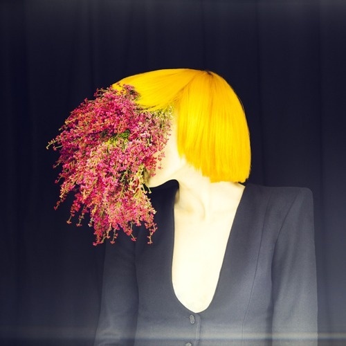 PICDIT #design #art #flower