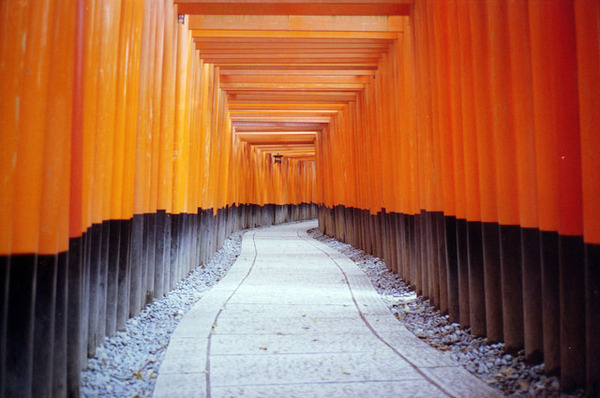 Untitled | Sean Culligan #photo #landscape #photography #film #japan #kyoto