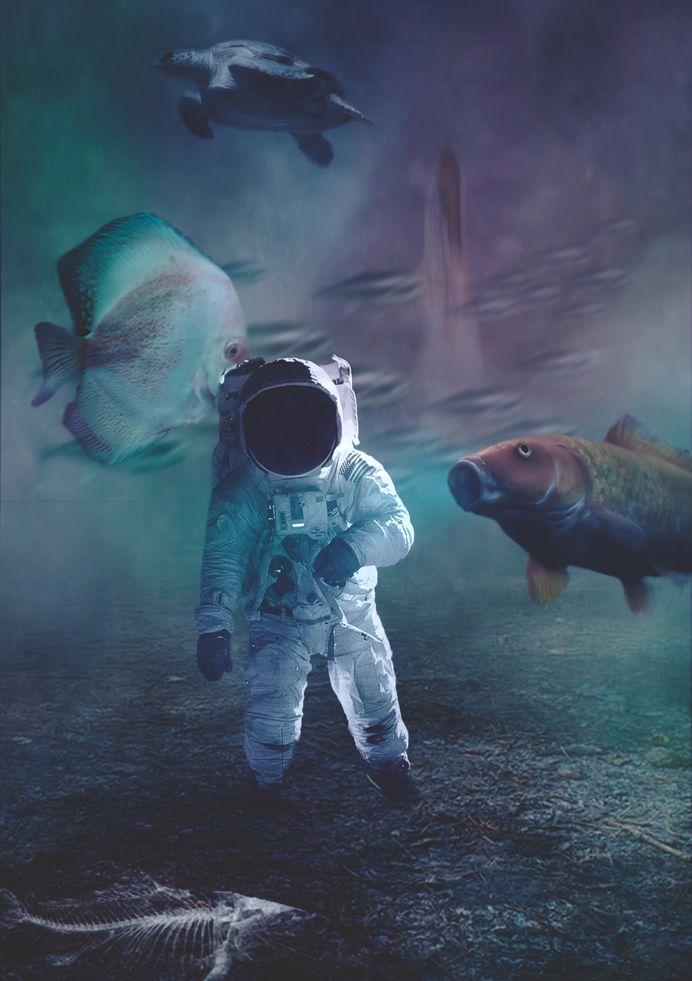 Ello | The Creators Network.