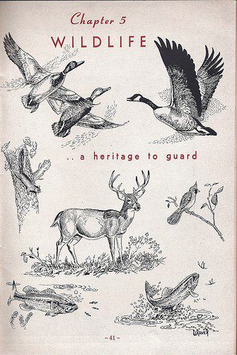 4078752263_be23081b50.jpg (335×500)