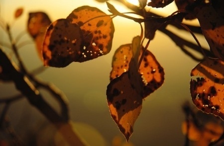 Tim Navis Photography » ISO50 Blog – The Blog of Scott Hansen (Tycho / ISO50) #photography