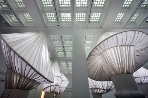 CJWHO ™ #museum #installation #design #photography #art #brookly
