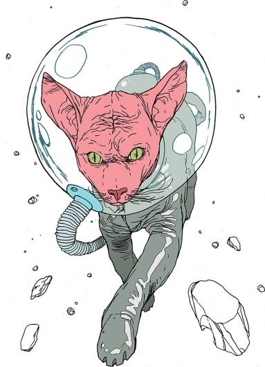 Amilcar Pinna #draw #brazil #cat