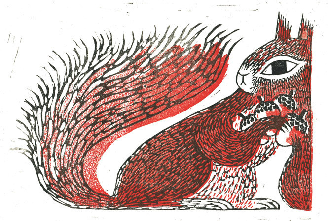 JooHee Yoon #illustration #squirrel