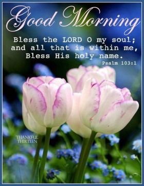 - Good Morning