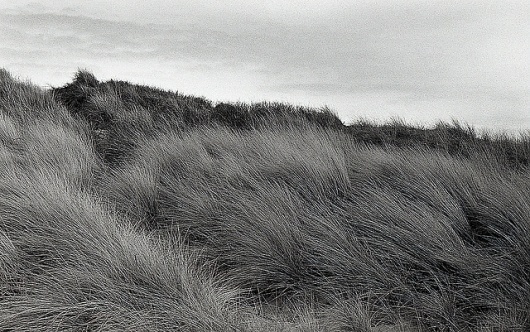 Toutes les tailles | Sand Dunes / Formby | Flickr : partage de photos ! #monochrome #dune #photography #sand