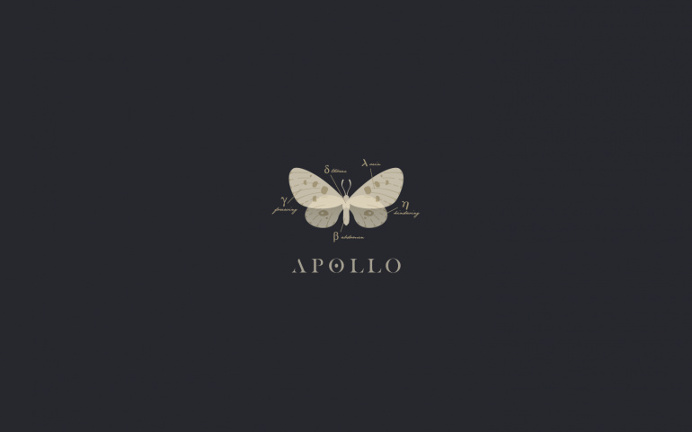 Apollo | Brand Concept